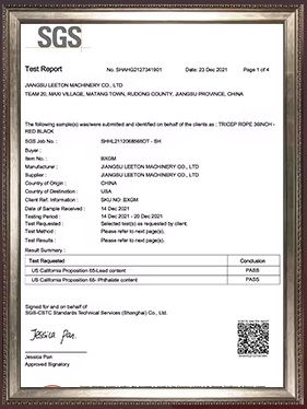 SGS certificate